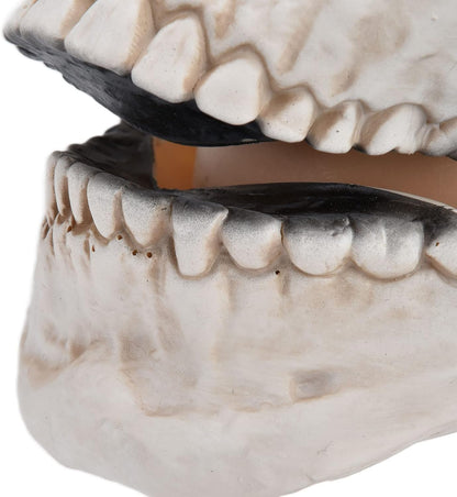 Skull Mask Creepy with Moving Jaw Halloween Full Head Skull Mask Scary Skeleton Mask Latex Mask for Cosplay Party Props