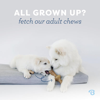 Benebone 4-Pack Durable Dog Chew Toys for Aggressive Chewers, Real Flavors, Made in USA, Medium