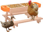 Chicken Feeders No Waste No Waste Wooden Table Poultry Feeding Equipment