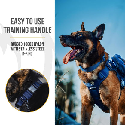 OneTigris Tactical Dog Collars with Handle,Military Dog Collar for Large Dog,Adjustable Nylon Collar German Shepherd Collar with Heavy Duty Metal Buckle for Dog Training and Walking (M, Orange)