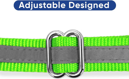 Pawtitas Chain Martingale Dog Collar Puppy Collar Reflective Dog Collar Training Dog Collar Behavioral Dog Chain Collar Collar Medium Dog Collar Green Dog Collar