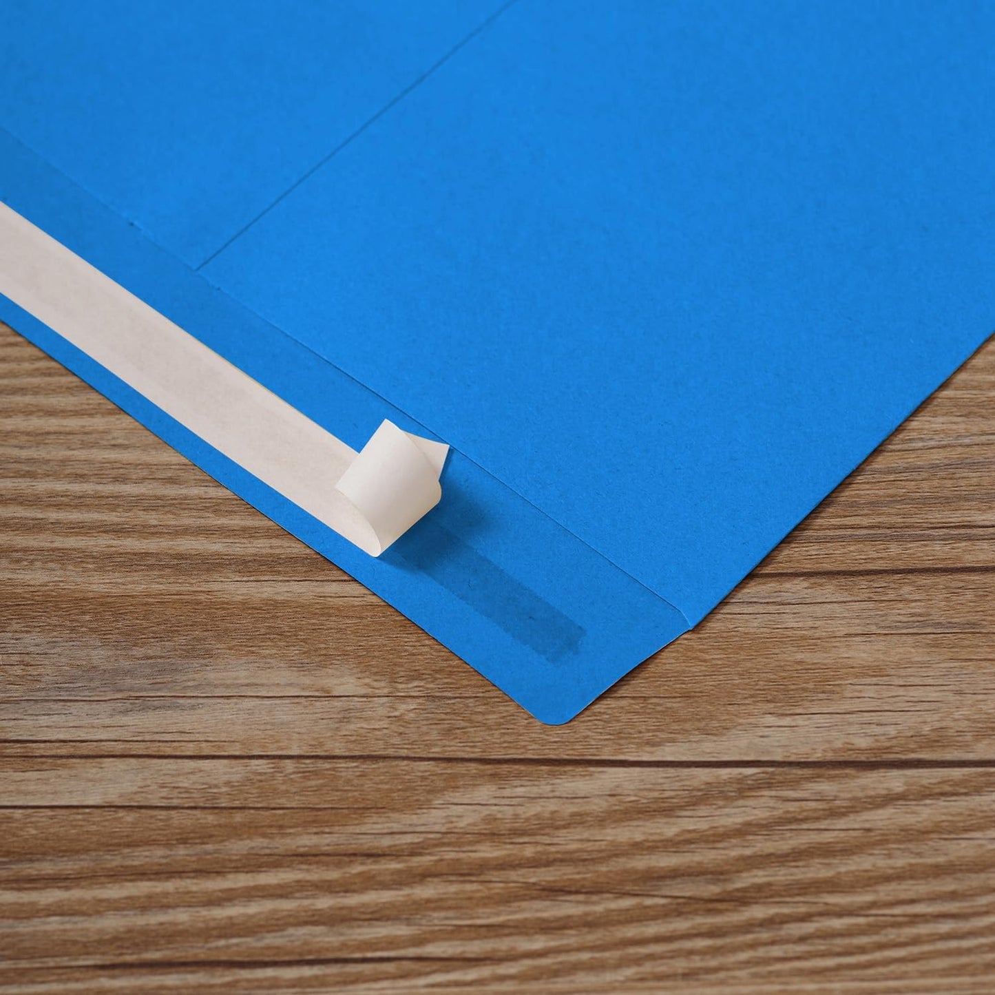 Tanshuqin 9" x 12.75" Self-Seal Catalog Envelopes 32lb Kraft Envelopes for Invitation Cards, Organizing and Storage, Pictures, Photos, Documents (100 PCS)