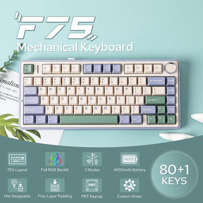 EPOMAKER x Aula F75 Gasket Mechanical Keyboard, 75% Wireless Hot Swappable Gaming Keyboard with Five-Layer Padding&Knob, Bluetooth/2.4GHz/USB-C, RGB (Black Gradient, LEOBOG Reaper Switch)