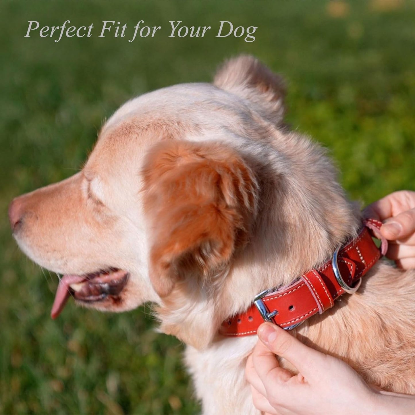TORRUNA Soft Leather Dog Collar | Dog Collars for Small, Medium and Large Dogs | Durable Heavy Duty Dog Collars