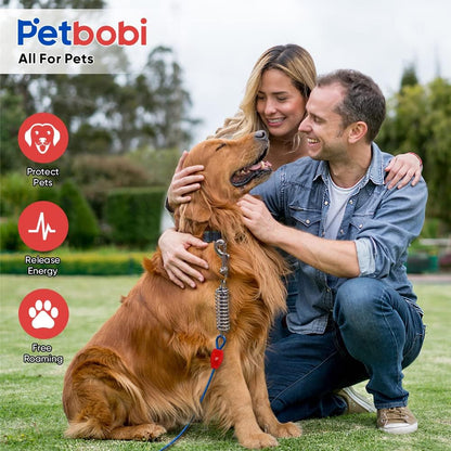 Petbobi Dog Tie-Out Cable and Stake - 30ft Heavy Duty Cable with Spring, No Tangle, 16in Ground Stake, Ideal for Yard, Camping and Beach, Suitable for Small Medium Large Dogs Up to 120 lbs, Blue