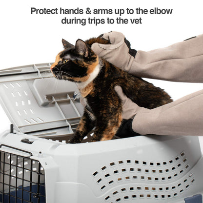 PetFusion Multipurpose Pet Glove for Grooming, Trips to Vet, Handling. [Puncture & Scratch Resistant, Water Resistant]. 12 Month Warranty for Manufacturer Defects, Grey, Large (PF-HG1A)