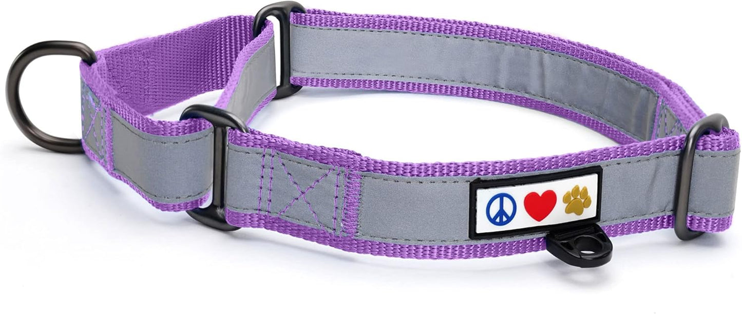 Pawtitas Chain Martingale Dog Collar Puppy Collar Reflective Dog Collar Training Dog Collar Behavioral Dog Chain Collar Collar Large Dog Collar Orange Dog Collar