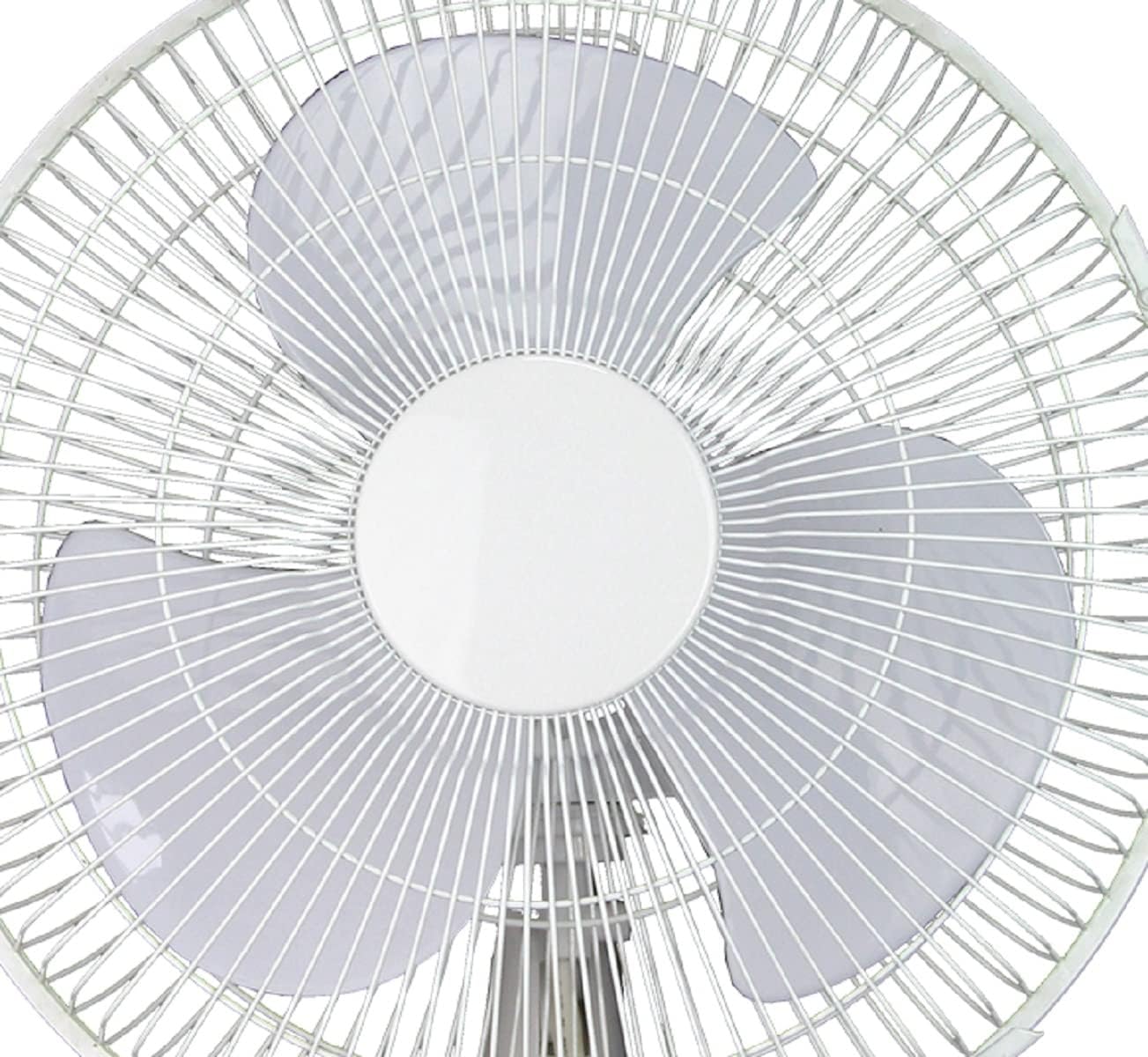 Tooltech 12 Inch Oscillating Desk Fan - 3 Speed Settings, Whisper-Quiet Operation, Adjustable Airflow, Lightweight, Tabletop Fan