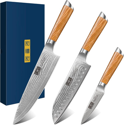 HOSHANHO Damascus Fillet Knife 7 Inch, Professional VG-10 Super Steel Boning Knife, Ultra Sharp Fish Knife with Ergonomic Handle