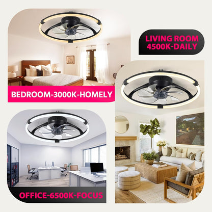 20 Inch Fandelier Ceiling Fan with Lights and Remote Black