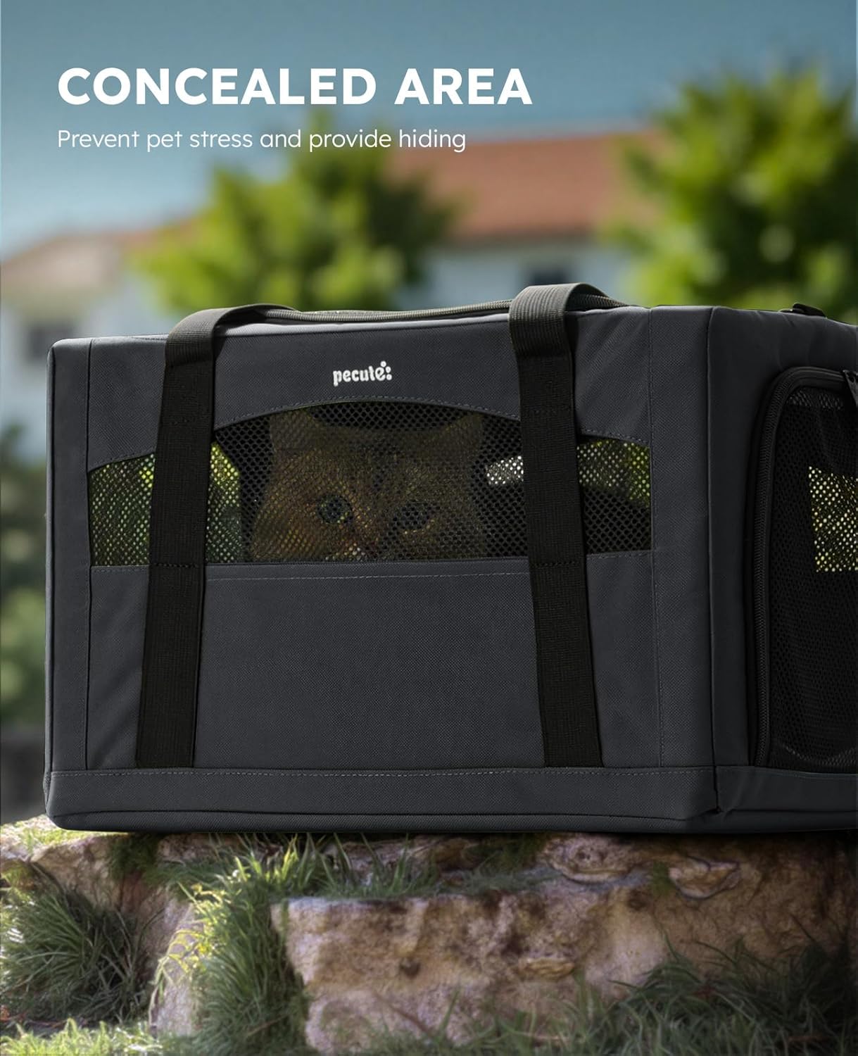 Pecute Cat Carrier Dog Carrier with Stable Structure, Breathable Mesh Fabric Pet Carrier for for Small Cats Dogs Puppies up to 5KG,Soft-Sided Dog Carrier Suitable for Both Long and Short Trips,Gray