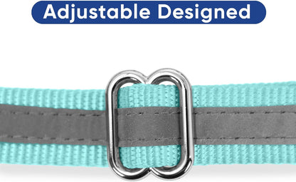 Pawtitas Chain Martingale Dog Collar Puppy Collar Reflective Dog Collar Training Dog Collar Behavioral Dog Chain Collar Collar Large Dog Collar Orange Dog Collar