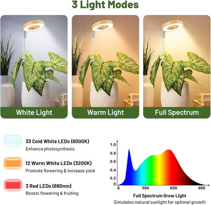 LBW Grow Light for Indoor Plants, Full Spectrum Plant Light with Base, Height Adjustable Plant Grow Lamp with Auto Timer 6/8/12/16H, 3 Colors,5 Dimmable Brightness, for Small Plants, Faux Bamboo Grain