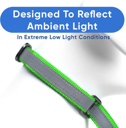 Pawtitas Chain Martingale Dog Collar Puppy Collar Reflective Dog Collar Training Dog Collar Behavioral Dog Chain Collar Collar Medium Dog Collar Green Dog Collar