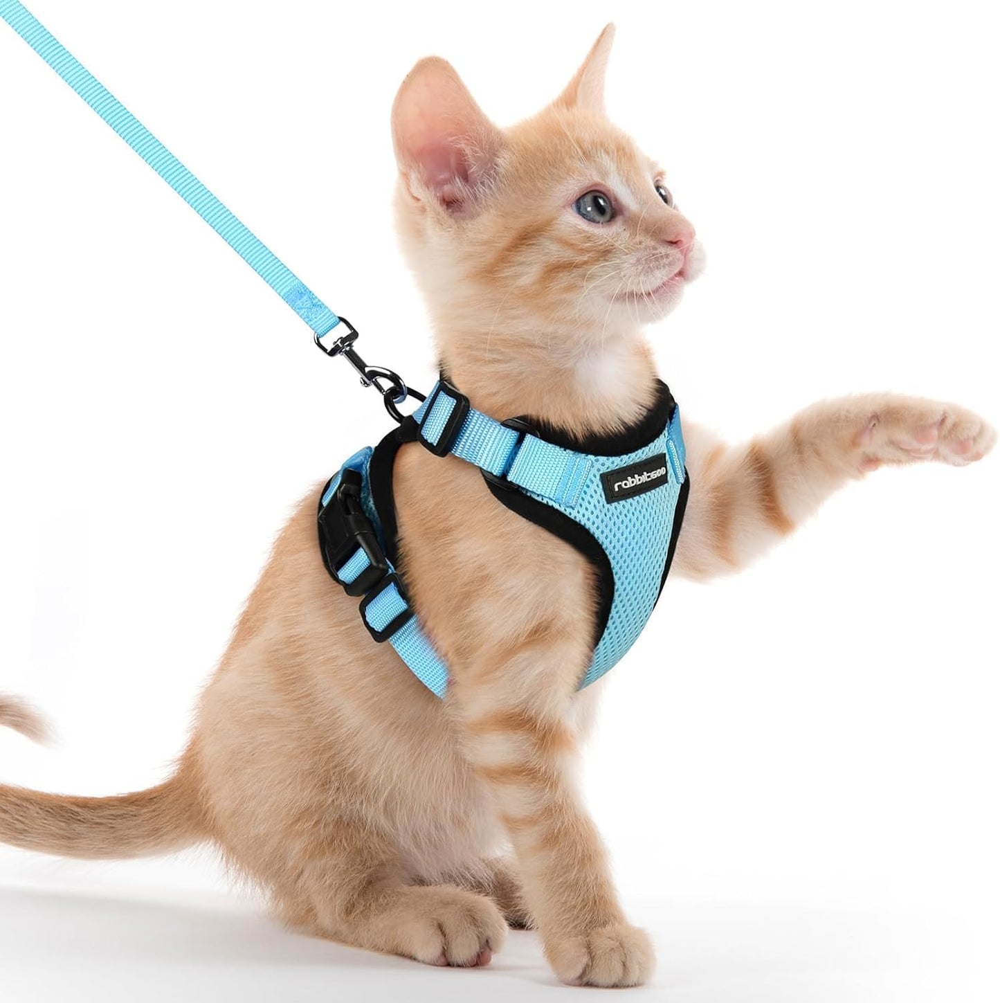 rabbitgoo Cat Harness and Leash for Walking, Escape Proof Soft Adjustable Vest Harnesses for Small Medium Cats, Easy Control Breathable Reflective Strips Jacket, XS, Black