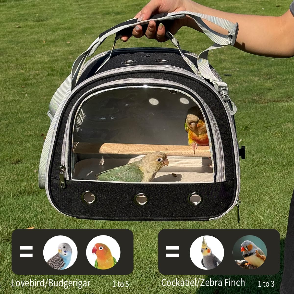 Bird Carrier,Bird Cage Parakeet Parrot Budgie Carrier Backpack for Small Birds, Travel Bird Cages with Perch, Transparent Ventilation Cockatiels, Pet Carrier for Outdoor Use(Yellow) (Black)