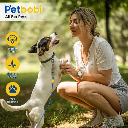 Petbobi Dog Tie-Out Cable and Stake - 30ft Heavy Duty Cable with Spring, No Tangle, 16in Ground Stake, Ideal for Yard, Camping and Beach, Suitable for Small Medium Large Dogs Up to 120 lbs, Blue
