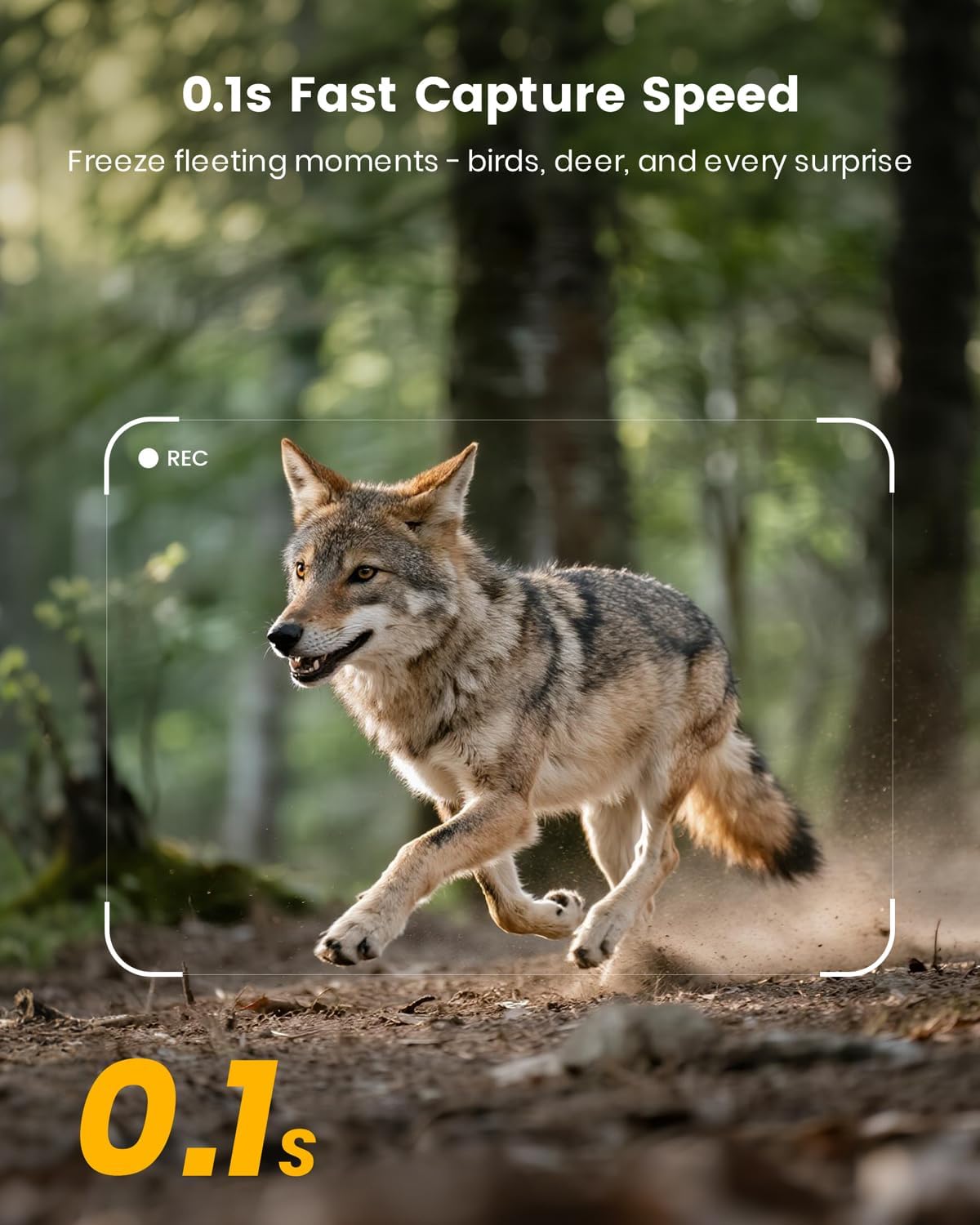 Misstech 4K UHD Solar Trail Camera for Game & Wildlife Monitoring - 0.1s Motion Trigger to Capture Fast Animals, 64MP/4K Clear Night Vision, Map Pin, App Control, IP66 Waterproof, 32GB SD Card