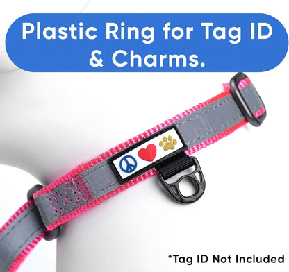 Pawtitas Chain Martingale Dog Collar Puppy Collar Reflective Dog Collar Training Dog Collar Behavioral Dog Chain Collar Collar Large Dog Collar Orange Dog Collar