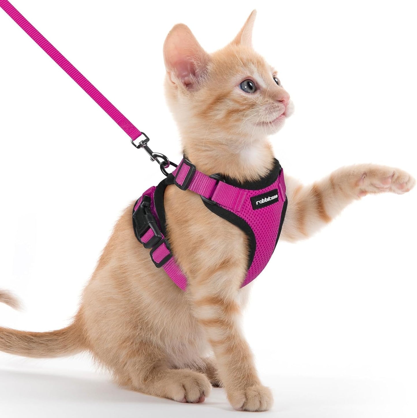 rabbitgoo Cat Harness and Leash for Walking, Escape Proof Soft Adjustable Vest Harnesses for Small Medium Cats, Easy Control Breathable Reflective Strips Jacket, XS, Black