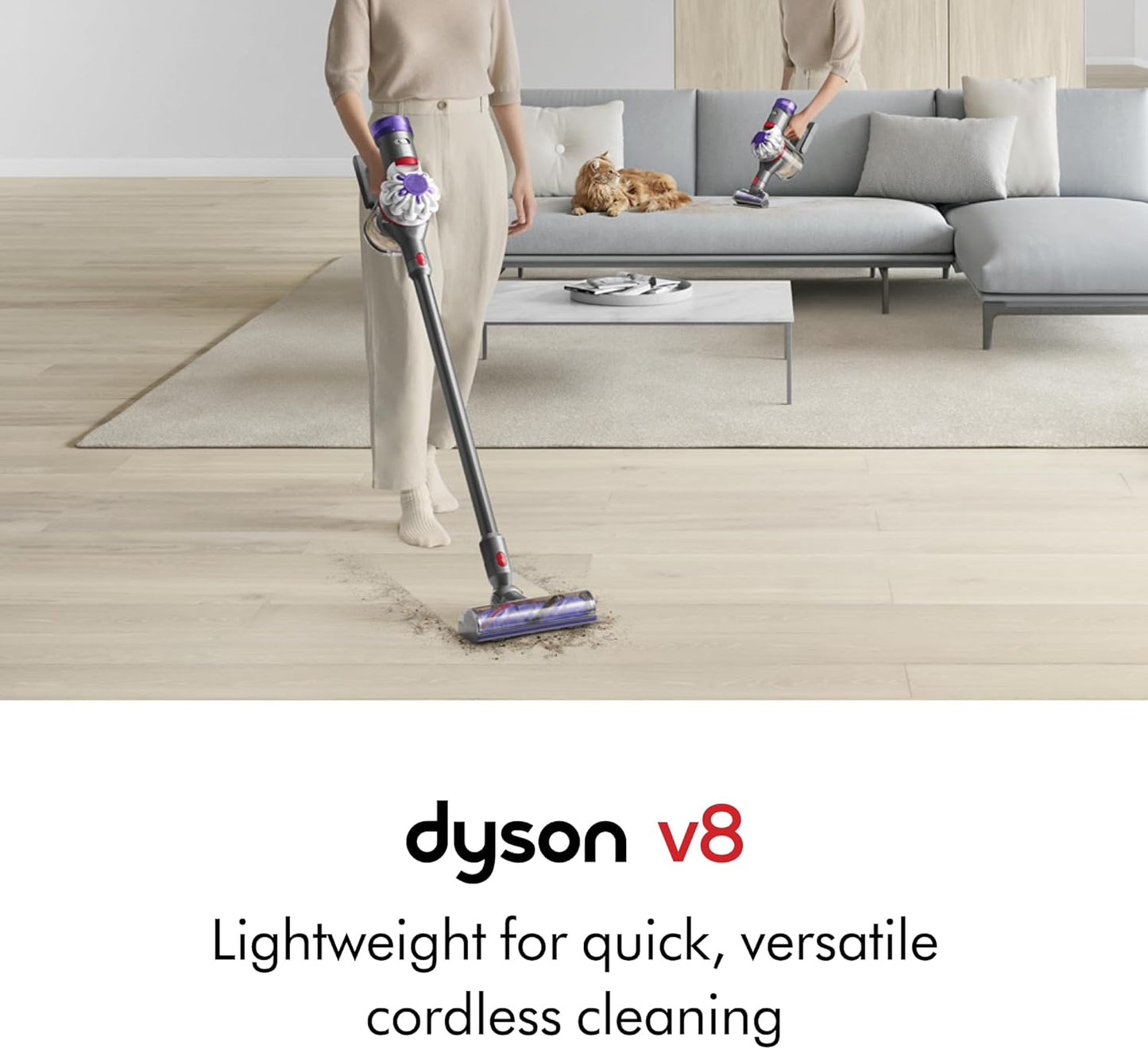 Dyson V8 Plus Cordless Vacuum