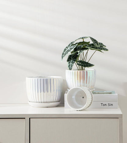Purilite Select 3-Piece Ceramic Indoor Planter Set