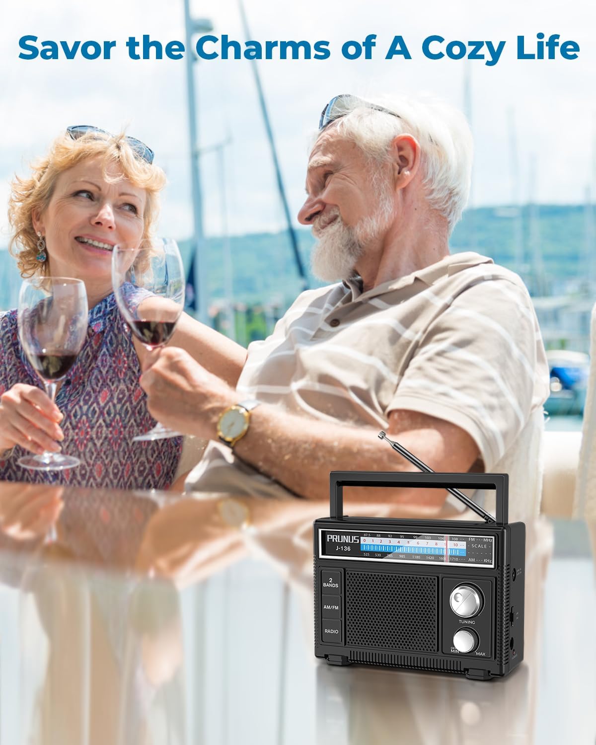 PRUNUS J-136 Portable Radio AM FM Battery Operated and Plug in Wall Transistor Radio Loud Speaker Support AUX in and Micphone in, Small Radios Portable AM FM