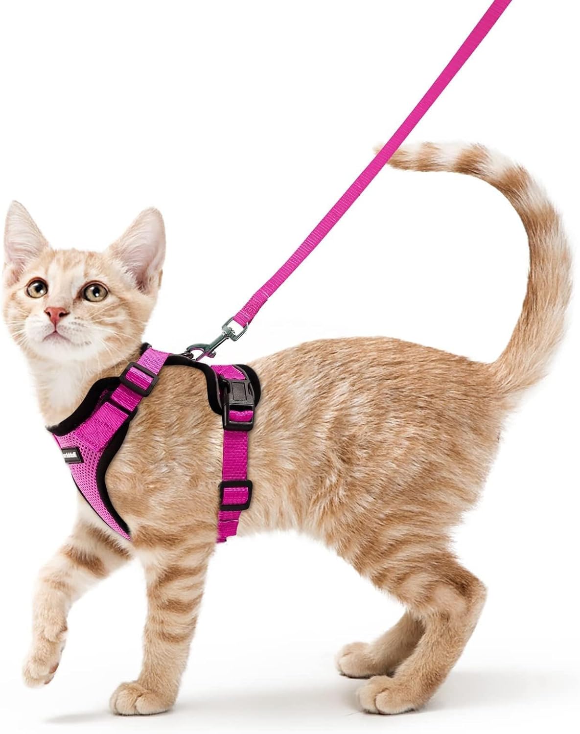 rabbitgoo Cat Harness and Leash for Walking, Escape Proof Soft Adjustable Vest Harnesses for Small Medium Cats, Easy Control Breathable Reflective Strips Jacket, XS, Black