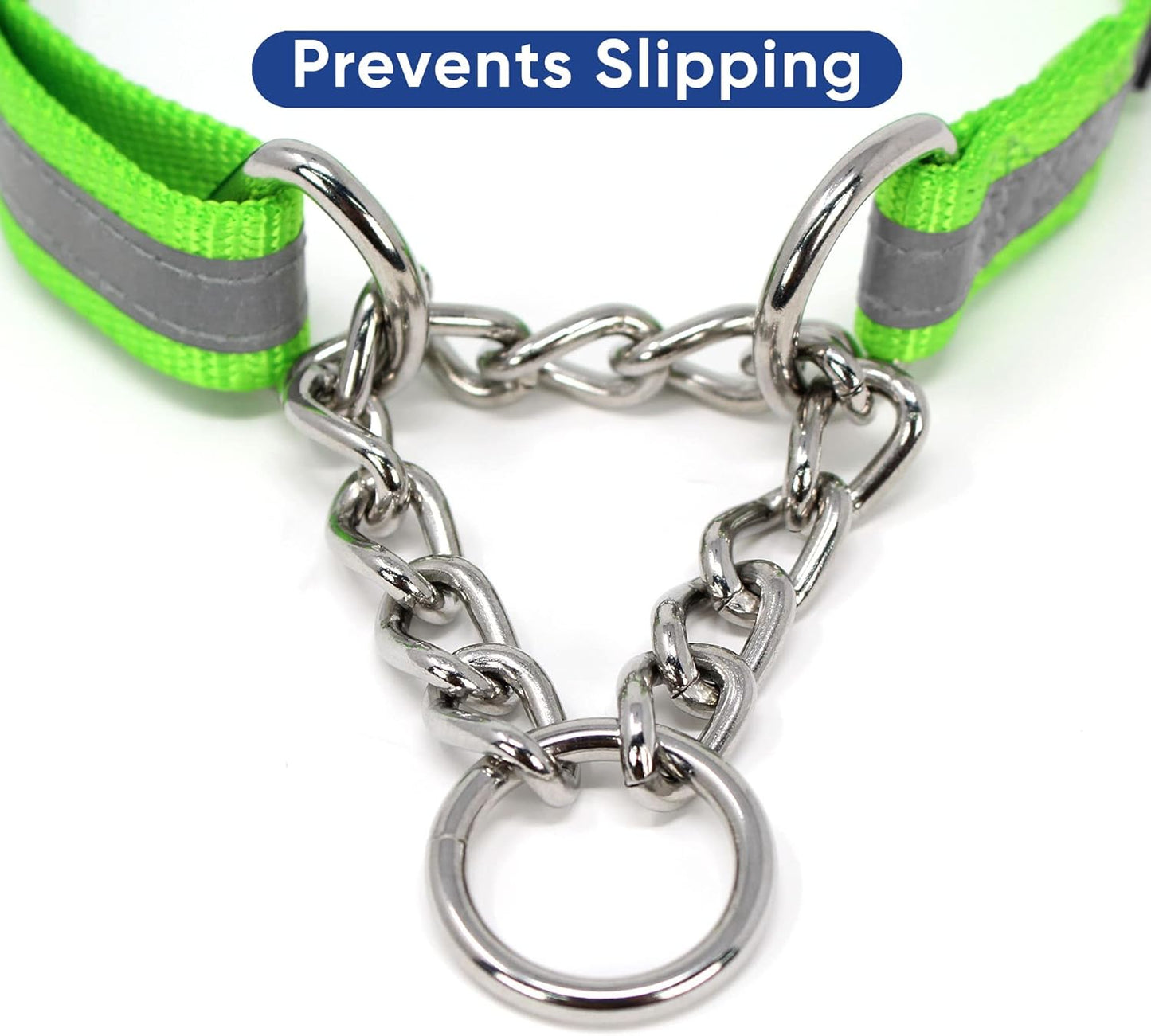 Pawtitas Chain Martingale Dog Collar Puppy Collar Reflective Dog Collar Training Dog Collar Behavioral Dog Chain Collar Collar Medium Dog Collar Green Dog Collar