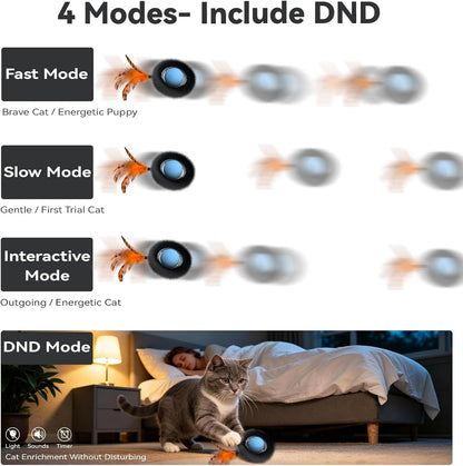 Interactive Cat Toy with Motion Activated Ball & 7-Hole Play Mat, Hide and Seek Exercise Game for Indoor Cats, Automatic Moving Cat Ball in Pouch, Rechargeable Cat Toys(Starry Night)