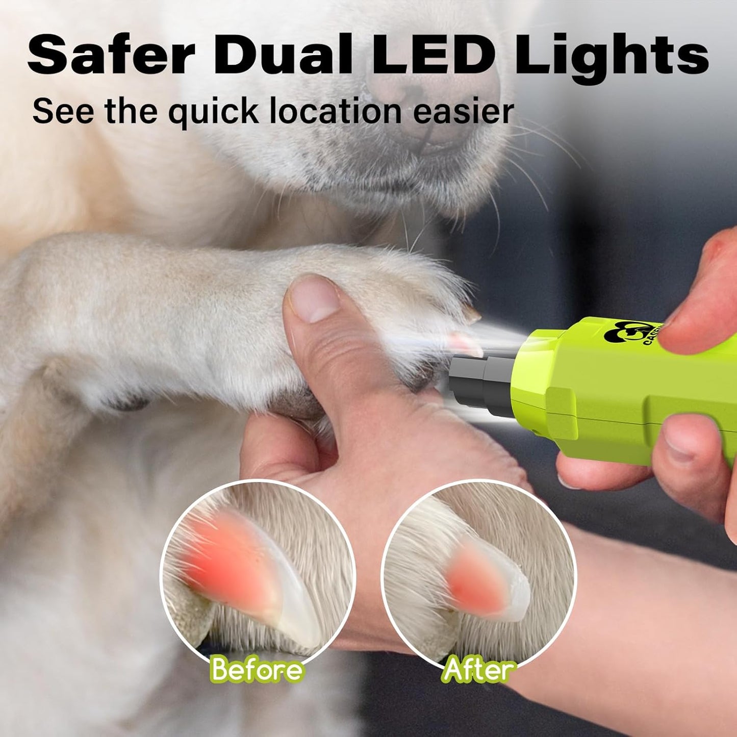 Casfuy 6-Speed Dog Nail Grinder Newest - Super Quiet Pet Nail Grinder Rechargeable Electric Dog Nail Trimmer Professional Paws Grooming & Smoothing Tool for Large Medium Small Dogs (Bright Blue)