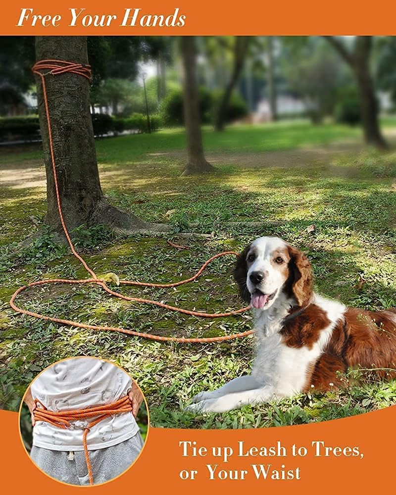 Long Rope Leash for Dog Training 10FT 16FT 30FT 50FT 100FT, Reflective Threads Check Cord Dog Leash Tie-Out Cable, Heavy Duty Dog Lead for Large Medium Small Dogs Outside Walking, Playing, Camping, or Yard