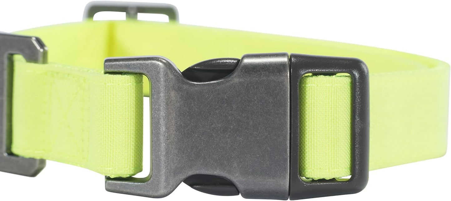 Carhartt Journeyman Dog Collar, Premium Rugged Construction Pet Collar