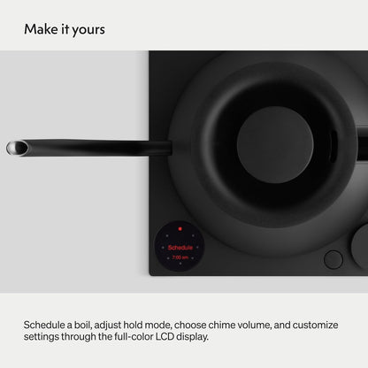 Fellow Stagg EKG Pro Electric Gooseneck Kettle, Temp Control, 0.9L 1200W Quick Heating, Pour-Over Coffee & Tea, Color LCD, Stainless Steel, Matte Black, Temp Hold, WiFi Smart Scheduling
