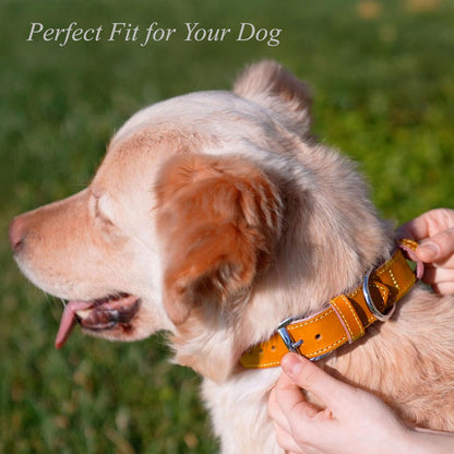 TORRUNA Soft Leather Dog Collar | Dog Collars for Small, Medium and Large Dogs | Durable Heavy Duty Dog Collars