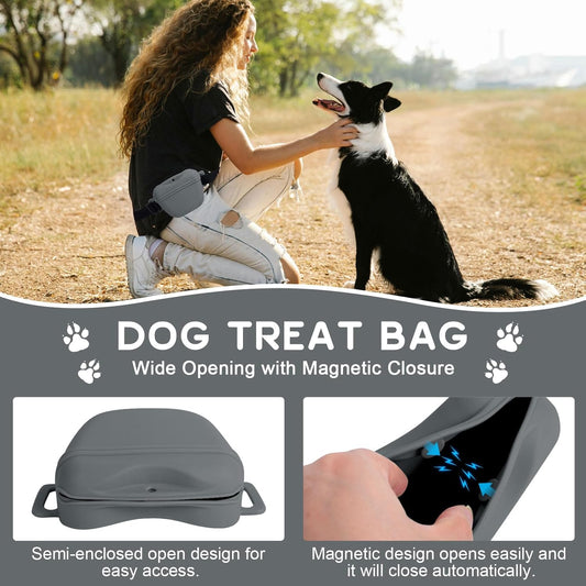 Dog Treat Pouch for Training, Silicone Magnetic Closure Dog Treat Bag Portable Treat Pouch with Belt, Waterproof Small Treat Bag for Dog Training, Dog Walking (Gray) - PuriLite
