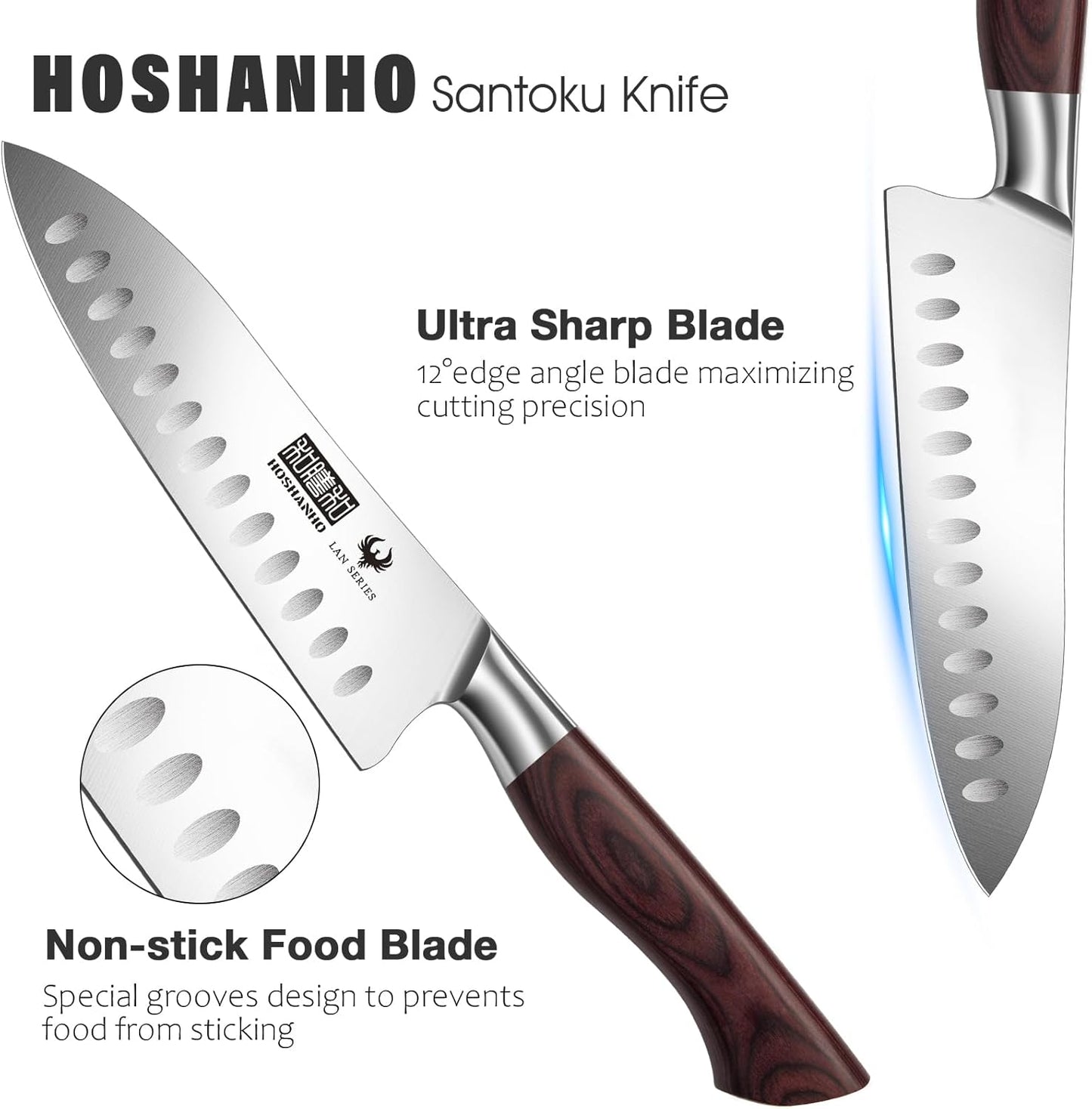 HOSHANHO Fillet Knife 7 Inch, Professional High Carbon Stainless Steel Boning Knife for Meat, Ultra Sharp Japanese Fish Fillet Knife with Ergonomic Wood Handle