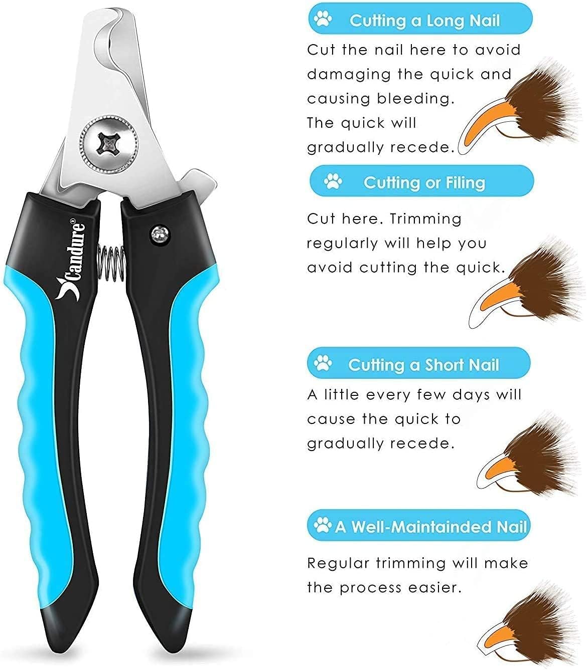 Candure Cat Nail Clippers Stainless Steel Cat Claw Trimmers for Rabbits,Guinea Pigs, Birds, Puppies, Kittens and Small Animals- Pet Nail Clippers for Professional and Home Use (Black)