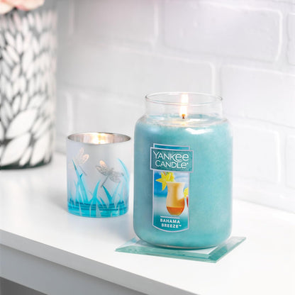 Yankee Candle Scented Candle, Sage & Citrus, Original Large Jar Candle, 110-150 Hours of Burn Time, 22 oz.