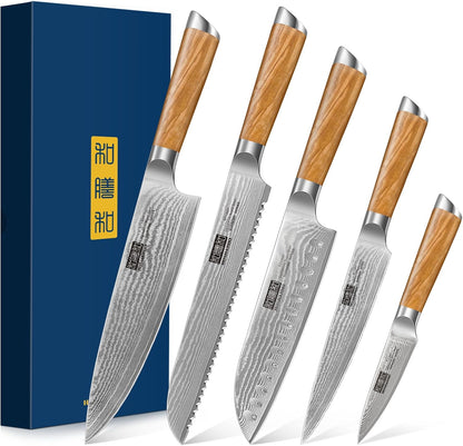 HOSHANHO Damascus Fillet Knife 7 Inch, Professional VG-10 Super Steel Boning Knife, Ultra Sharp Fish Knife with Ergonomic Handle