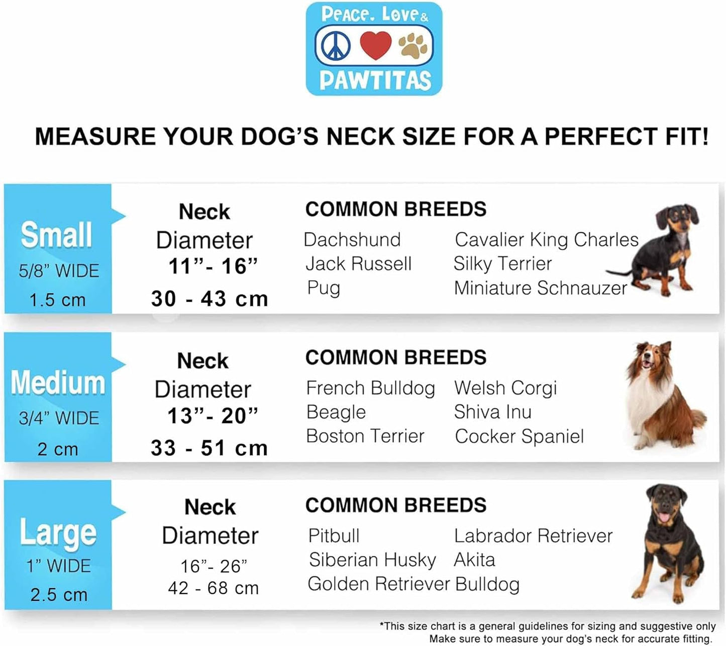 Pawtitas Chain Martingale Dog Collar Puppy Collar Reflective Dog Collar Training Dog Collar Behavioral Dog Chain Collar Collar Medium Dog Collar Green Dog Collar