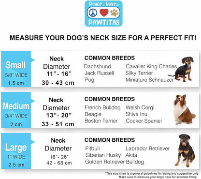 Pawtitas Chain Martingale Dog Collar Puppy Collar Reflective Dog Collar Training Dog Collar Behavioral Dog Chain Collar Collar Medium Dog Collar Green Dog Collar