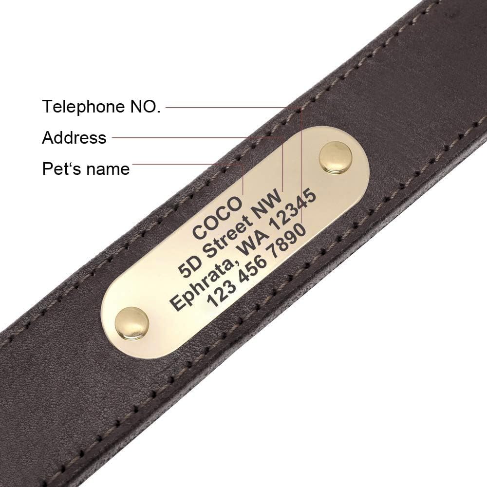 Didog Genuine Leather Dog Collars with Engraved Nameplate, Personalized Soft Leather Dog Collar with Custom ID Tag, Brown/Green/Red for Medium Large Dogs (L,Brown)