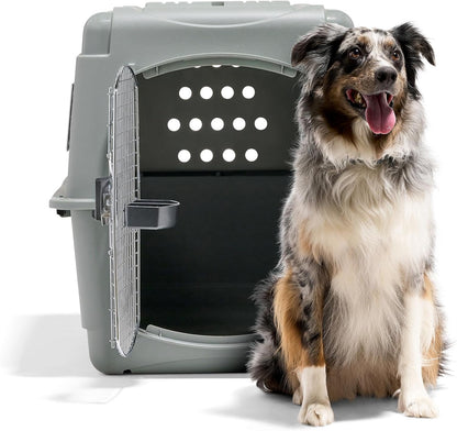 Petmate 00200 Sky Kennel for Pets from 25 to 30-Pound, Light Gray