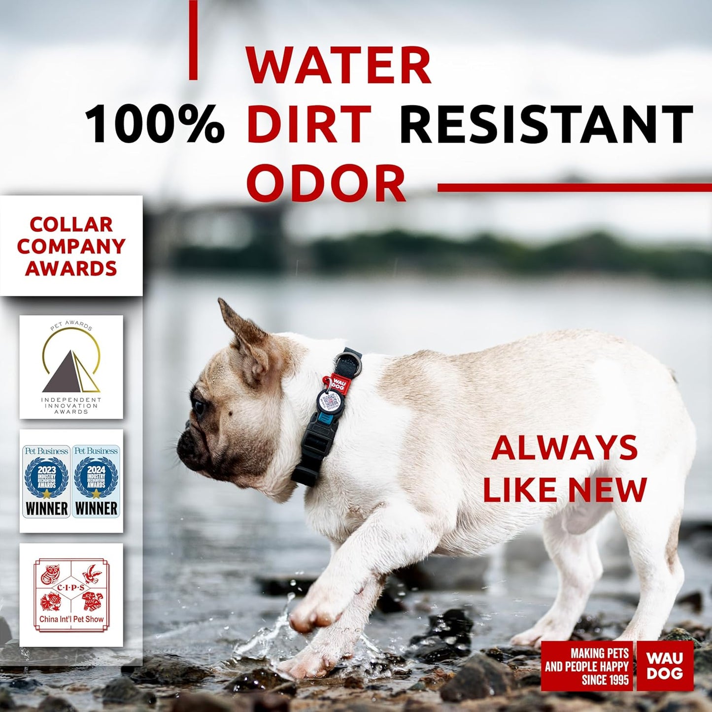 Waterproof Dog Collar - Adjustable Glow Dog Collar for Large Dogs, Small and Medium Dogs - Heavy Duty Dog Collars with Durable Metal Clasp and QR Dog Tag - Glow in The Dark Dog Collars