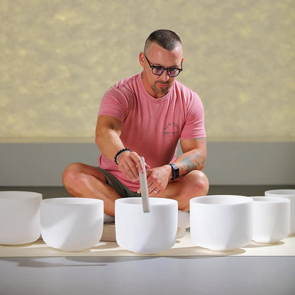 TOPFUND F Note Crystal Singing Bowl Heart Chakra 8 inch with Heavy Duty Carrying Case and Suede Striker