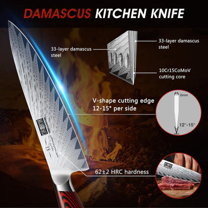 HOSHANHO Fillet Knife 7 Inch, Damascus Steel Boning Knife, Professional Fish Fillet Knife for Meat Chicken Cutting, Meat Knife with G10 Ergonomic Handle