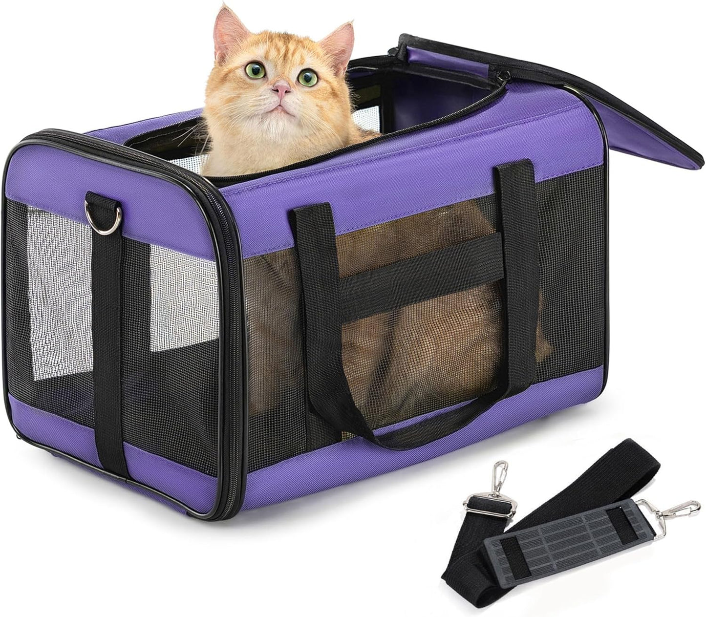 Conlun Cat Carrier Airline Approved, Soft-Sided Dog Carrier with Inner Safety Leash, Pet Transport Carrier for Small-Medium Cats Puppies up to 15 Lbs, Collapsible Travel Kitten Carrier Bag -Black M