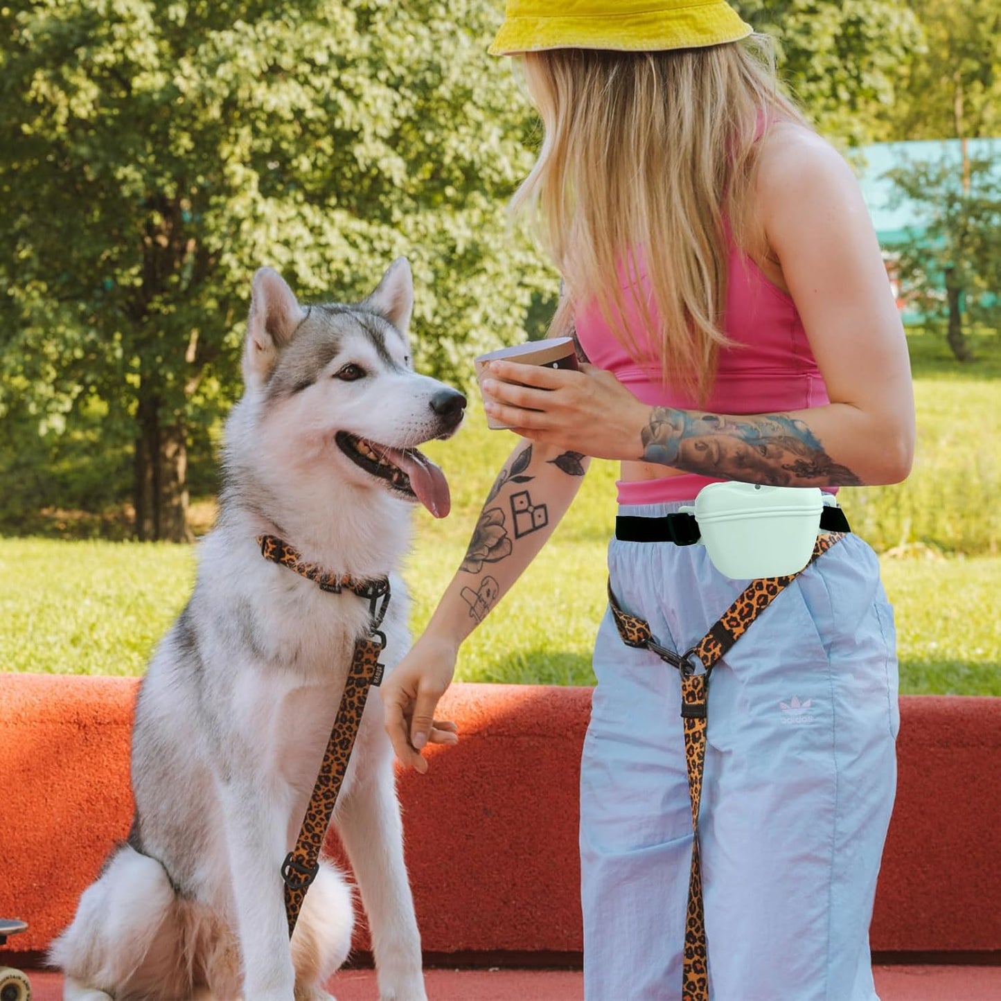 Dog Treat Pouch for Training, Silicone Magnetic Closure Dog Treat Bag Portable Treat Pouch with Belt, Waterproof Small Treat Bag for Dog Training, Dog Walking (Cyan)