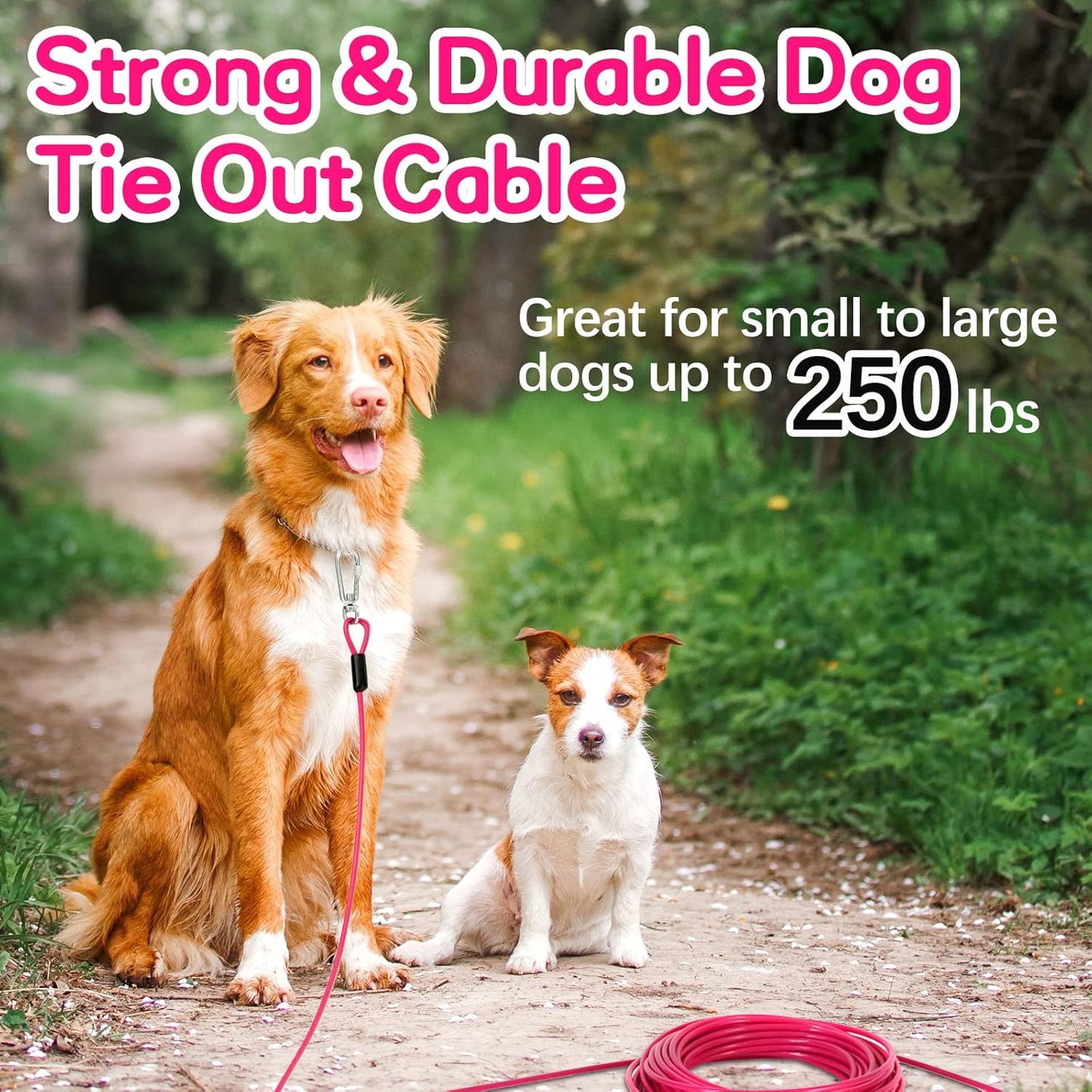 Tie Out Cable for Dogs, 10FT Dog Leads for Yard Chew Proof, Heavy Duty Dog Tie Out Cable for Large Dogs Up to 126lbs, Durable Dog Runner for Yard or Camping